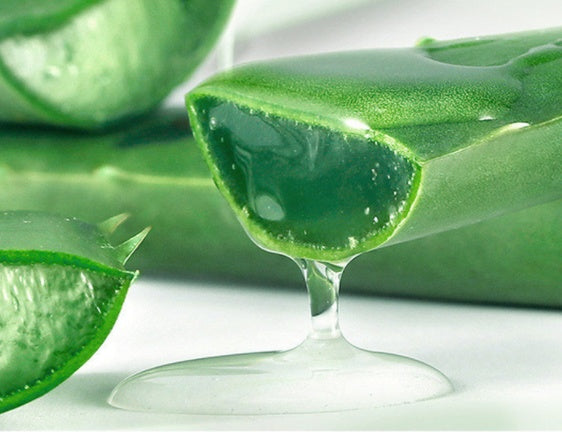 Creme Hidratante Facial para Cuidados com a Pele com Gel de Aloe